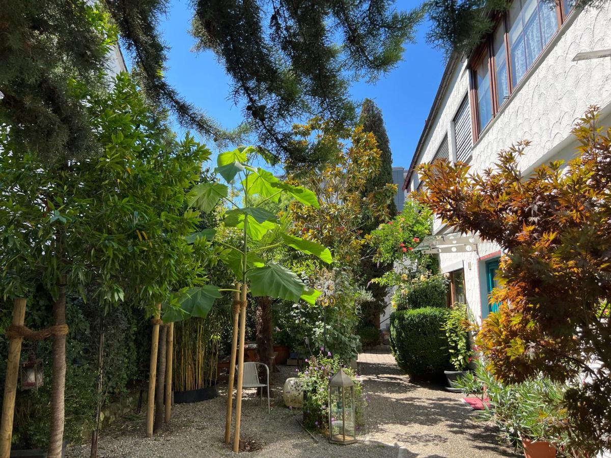 Haus Pia Executive Apartments FDH Εξωτερικό φωτογραφία