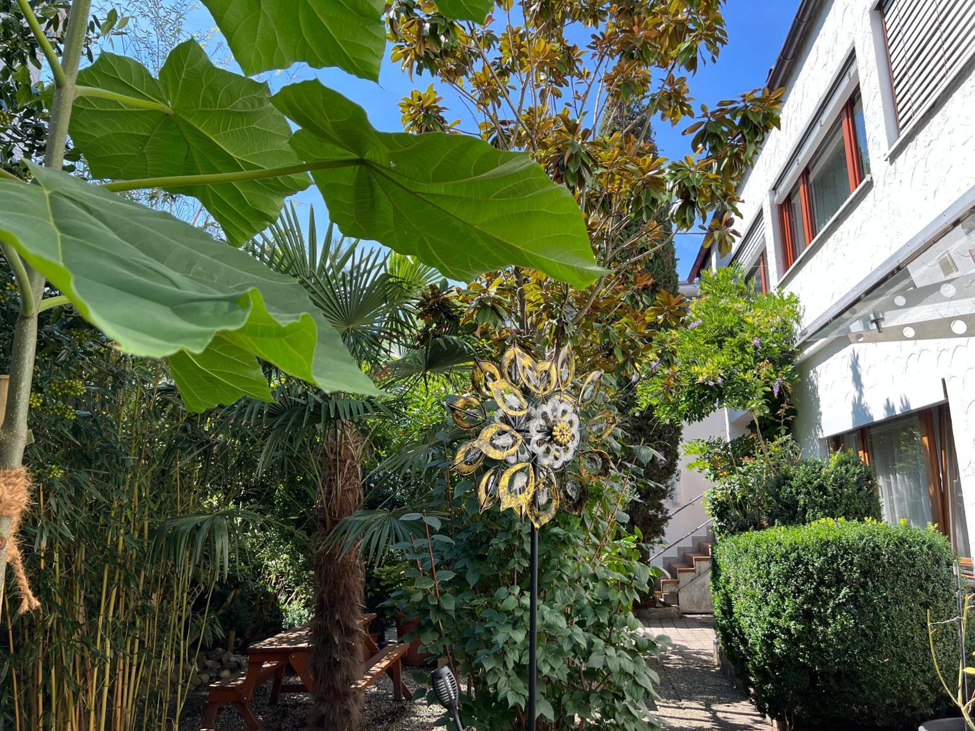 Haus Pia Executive Apartments FDH Δωμάτιο φωτογραφία
